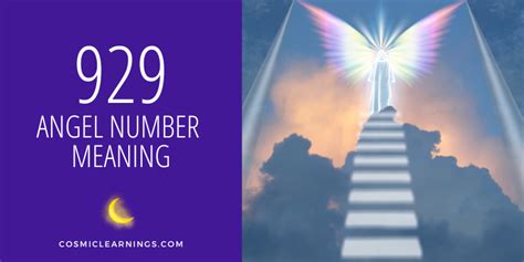 929 angel number|929 twin flame number meaning.